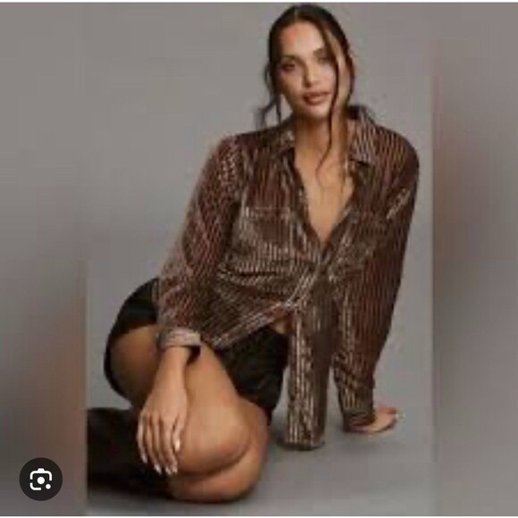 Anthropologie Forever that Girl Brown Velour Striped Long Sleeve ButtonUp  2X - Picture 9 of 9